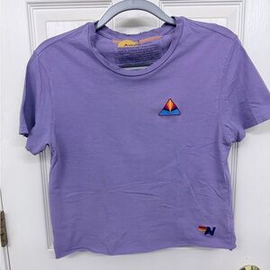 Aviator Nation Distressed Purple Crop Tee: S